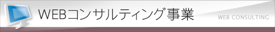 WEBコンサルティング事業