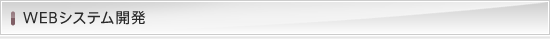 WEBシステム開発