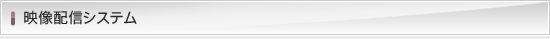 映像配信システム